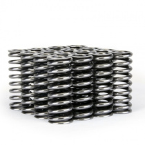 Honda D Series SOHC VTEC Alpha Ventilfjädrar Skunk2